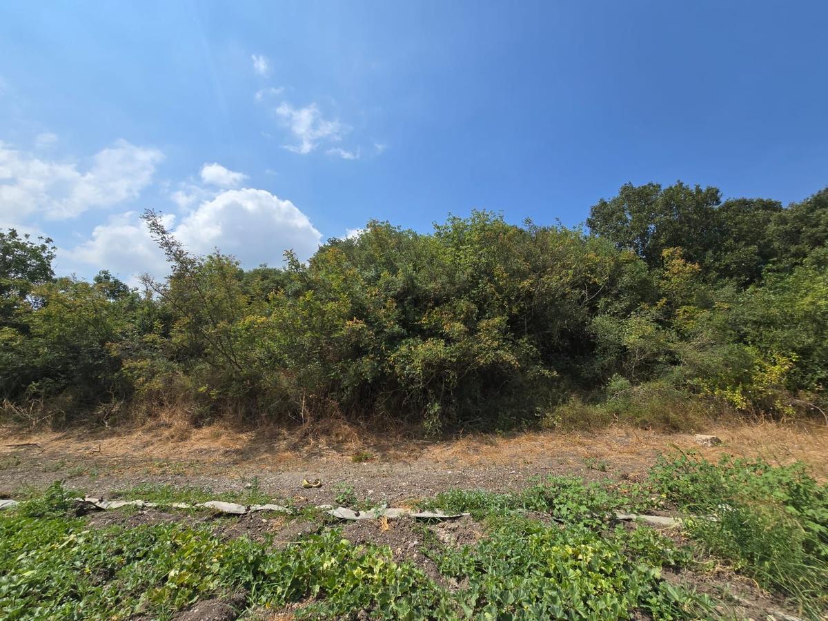 Sahibinden Çatalağıl Satılık 606 M2 Tarla - 12