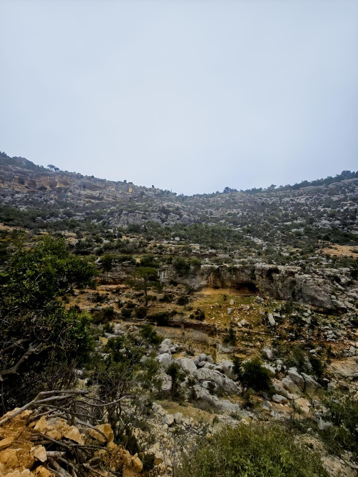 Silifke Bükdeğirmeni Köyünde Satılık Tarla - 2