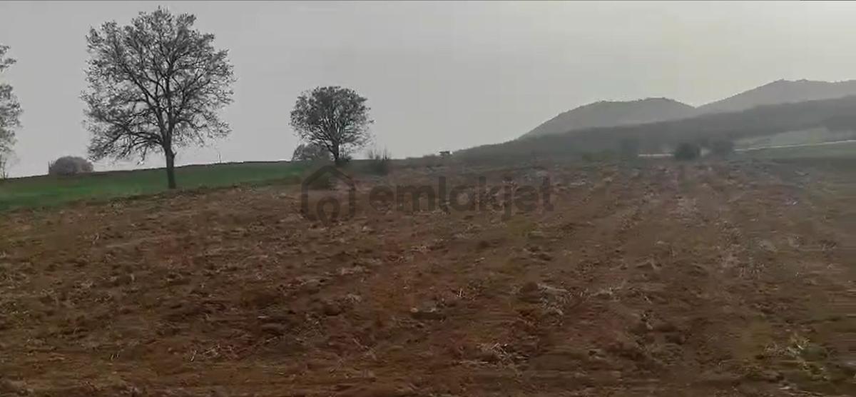 Sahibinden Konya Güneysınır Ağras Mahallesi'nde Satılık Tarla - 4