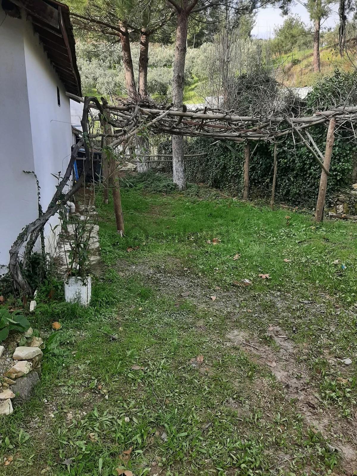 Bu Araziyi Görmeden Karar Vermeyin - 19