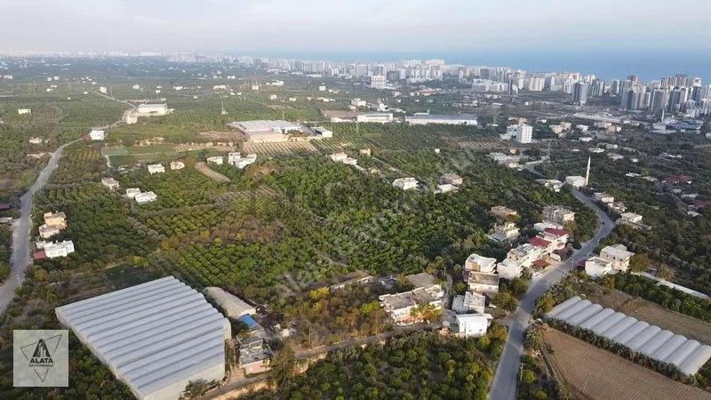 Arpaçbahşiş'de Uygulama Geçmiş Villa İmarlı Arsa - 5