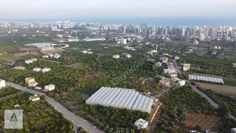 Arpaçbahşiş'de Uygulama Geçmiş Villa İmarlı Arsa - 3