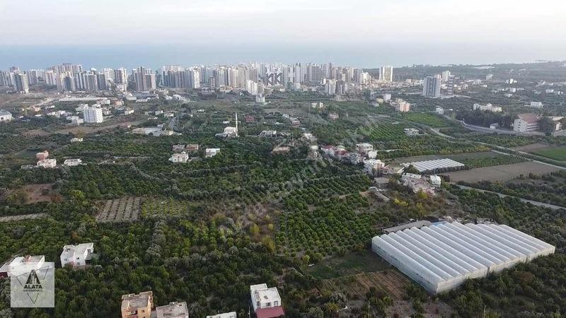 Arpaçbahşiş'de Uygulama Geçmiş Villa İmarlı Arsa