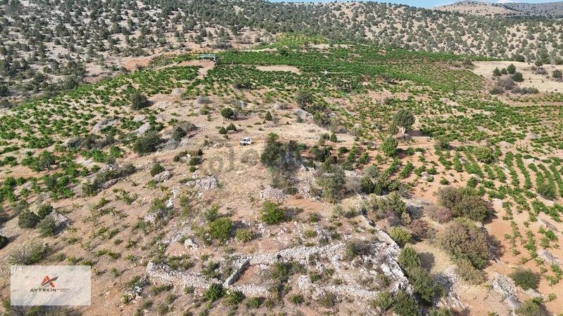 Devlet Ormanına Cephe, Yola Sıfır! Hadim'de 831m² Müstakil Tarla - 7