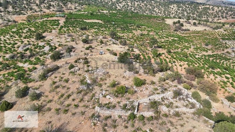 Devlet Ormanına Cephe, Yola Sıfır! Hadim'de 831m² Müstakil Tarla - 6