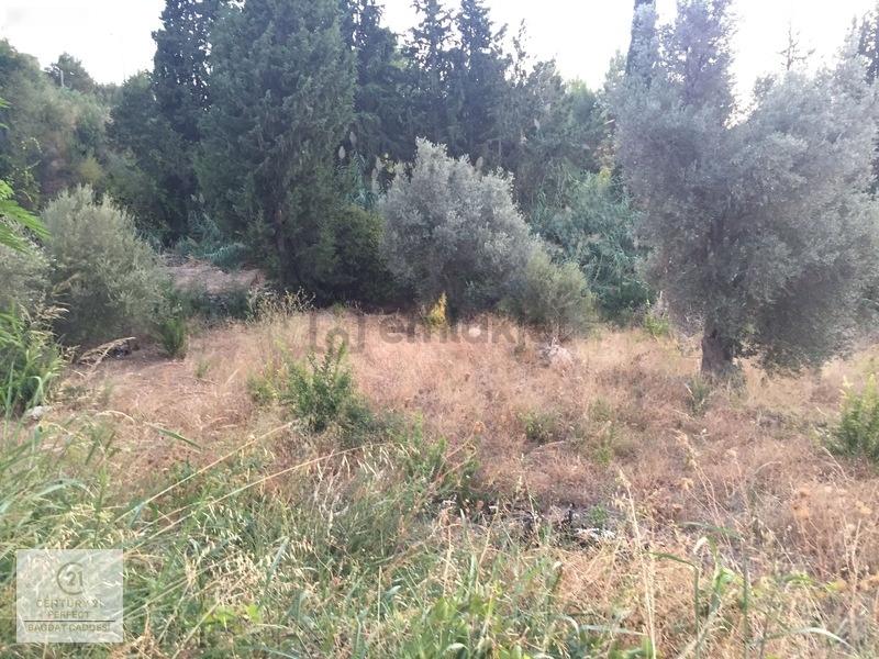 Fethiye Faralyada Turizm Bölgesinde Satılık Arsa 2005 M2 - 9