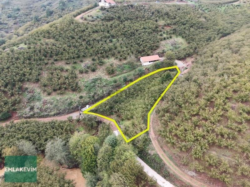 Emlakevim - Hendek Dereköy Mah. De Satılık 1222 M2 Arsa !!! - 4