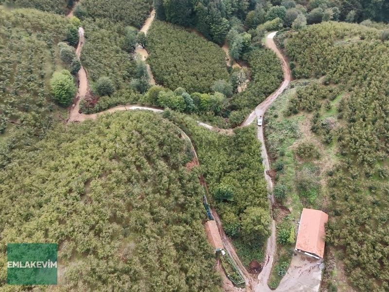Emlakevim - Hendek Dereköy Mah. De Satılık 1222 M2 Arsa !!! - 12