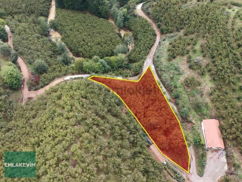 Emlakevim - Hendek Dereköy Mah. De Satılık 1222 M2 Arsa !!! - 6