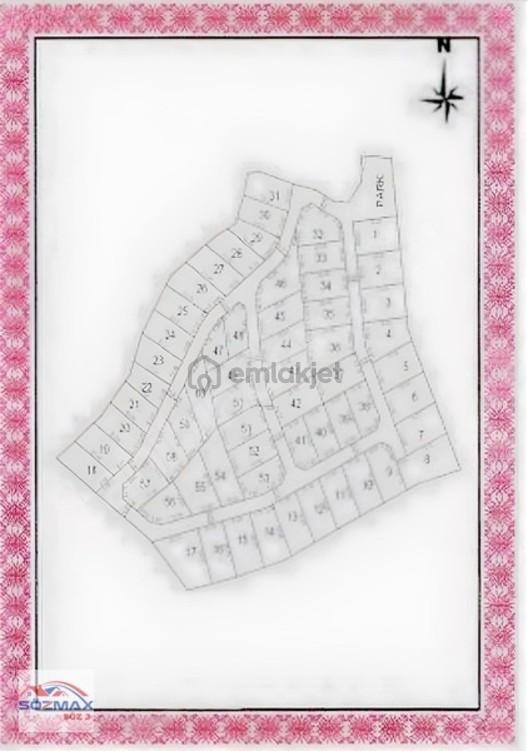 Milas Çam Mahallesinde Satılık Zeytinlik - 18