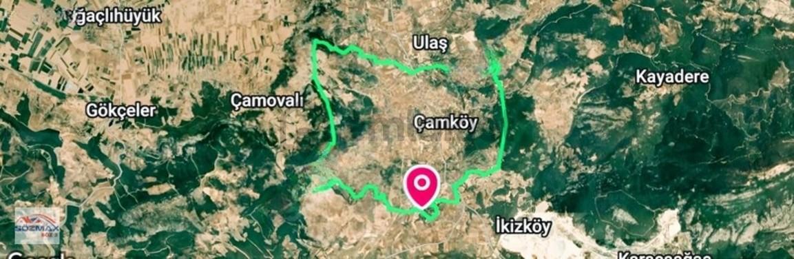 Milas Çam Mahallesinde Satılık Zeytinlik - 9