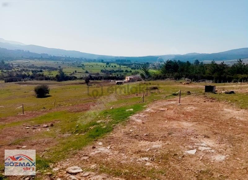 Milas Çam Mahallesinde Satılık Zeytinlik - 4