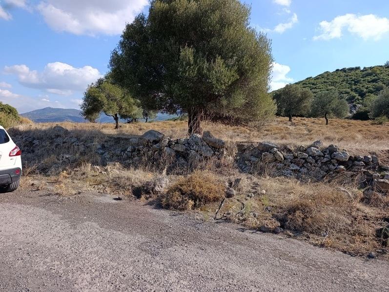 Güzelhisar'da Satılık Tarla - 5