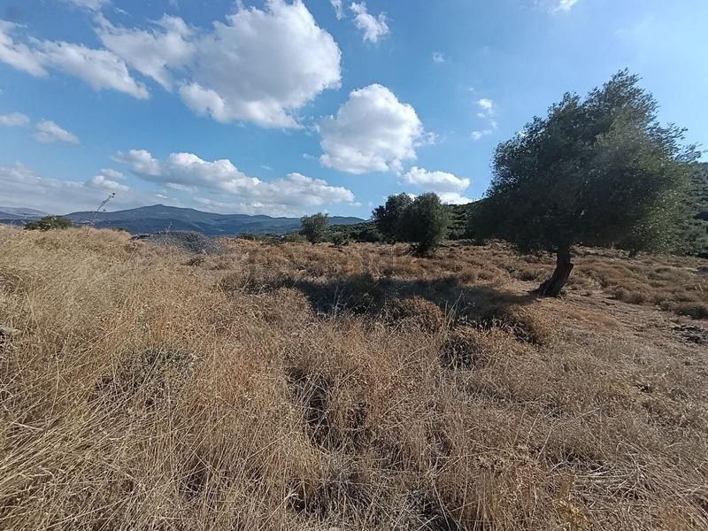 Güzelhisar'da Satılık Tarla - 6