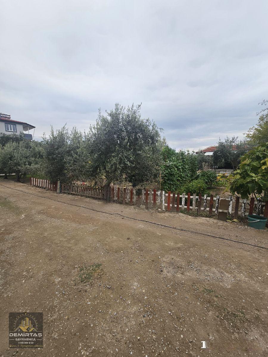 Pamukkale Develı Köyünde Satılık Mustakıl Bahçeli Ev - 14