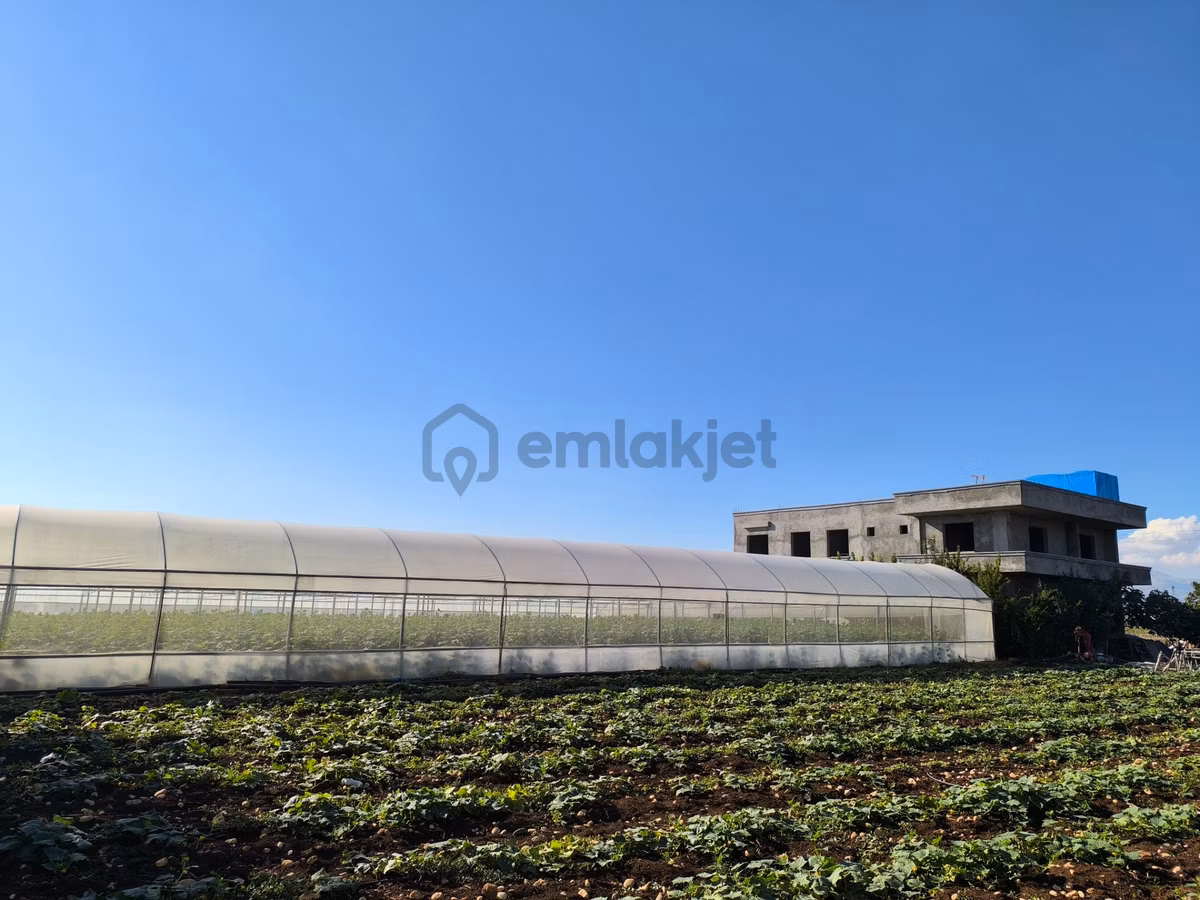 Adıyaman Hasankendide Satılık Sıfır Ev Ve Sera - 3