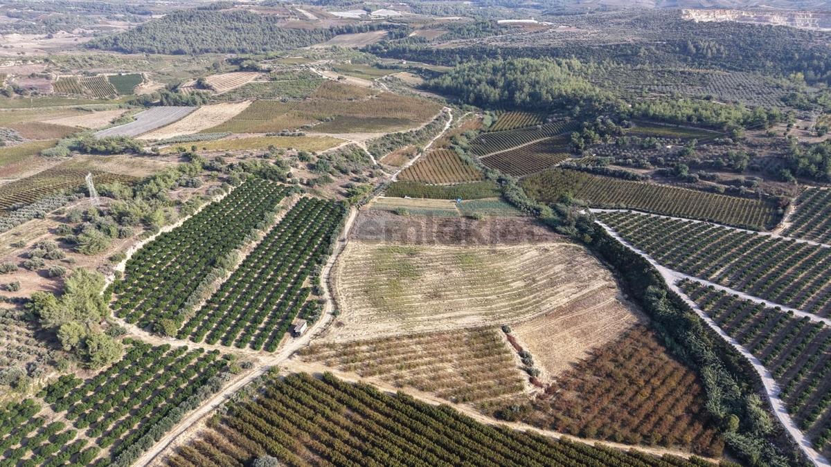 Tarsus İbrişim Mh. Satılık Tarla - 7