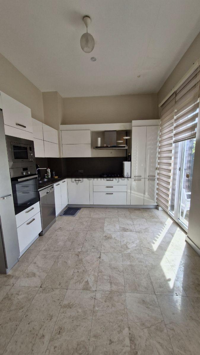 Asmalı Hayat Dekar Da Tek Katlı 4+1 Villa - 18