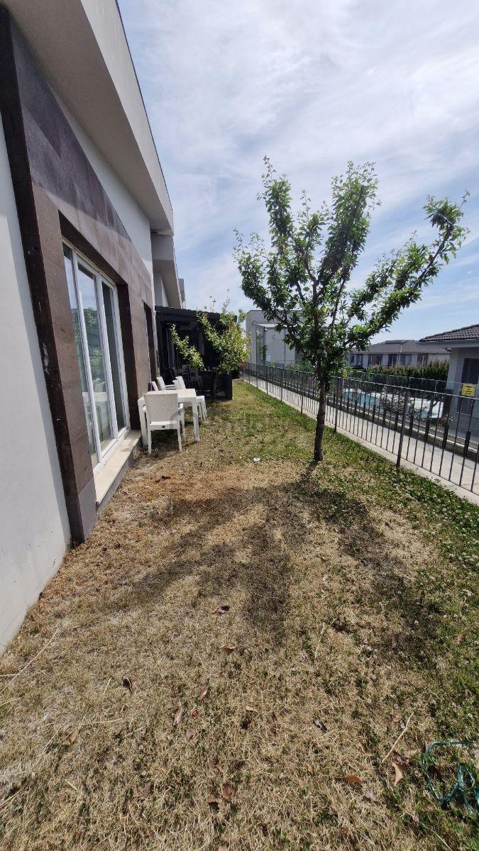 Asmalı Hayat Dekar Da Tek Katlı 4+1 Villa - 6