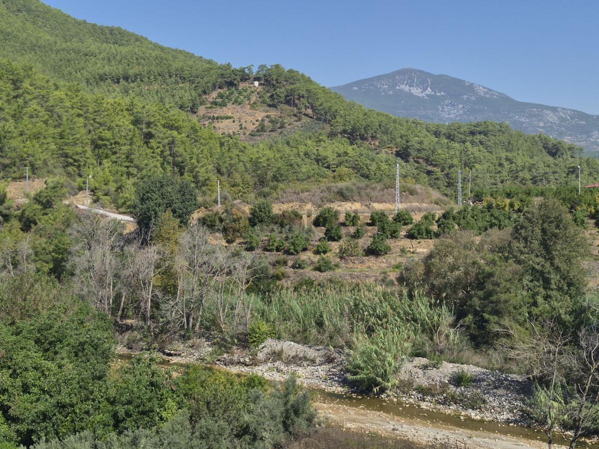 Alanya Demirtaş Beyreli Mahallesi Satılık Tarla - 7