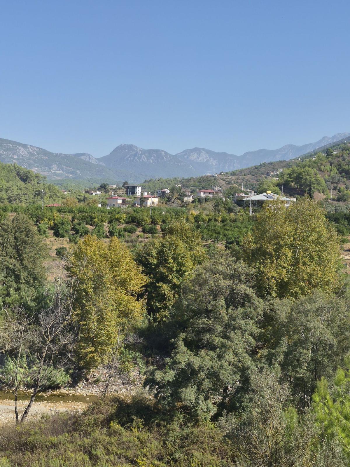 Alanya Demirtaş Beyreli Mahallesi Satılık Tarla - 6