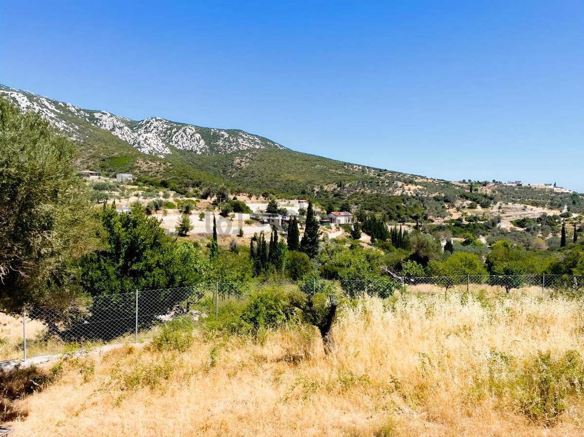 Kösedere Başpınar'da 2.022m² Çift Parsel - 4
