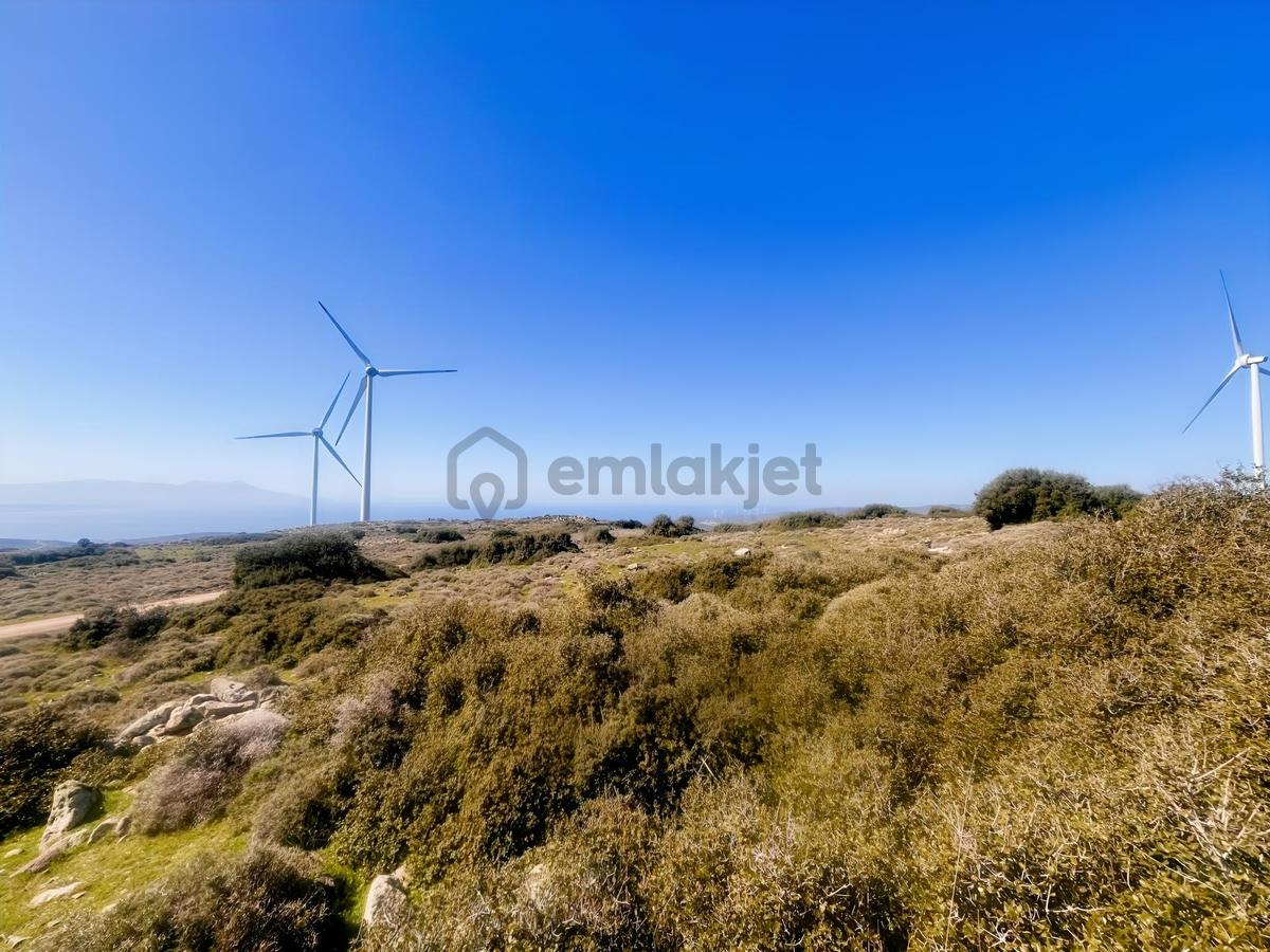 Karaburun Yaylada Yatırımlık Tarla | Doğanın İçinde - 7