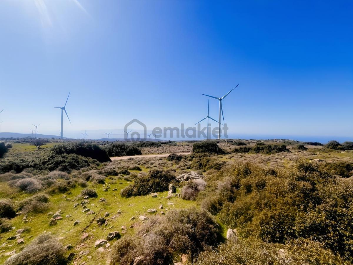 Karaburun Yaylada Yatırımlık Tarla | Doğanın İçinde - 8