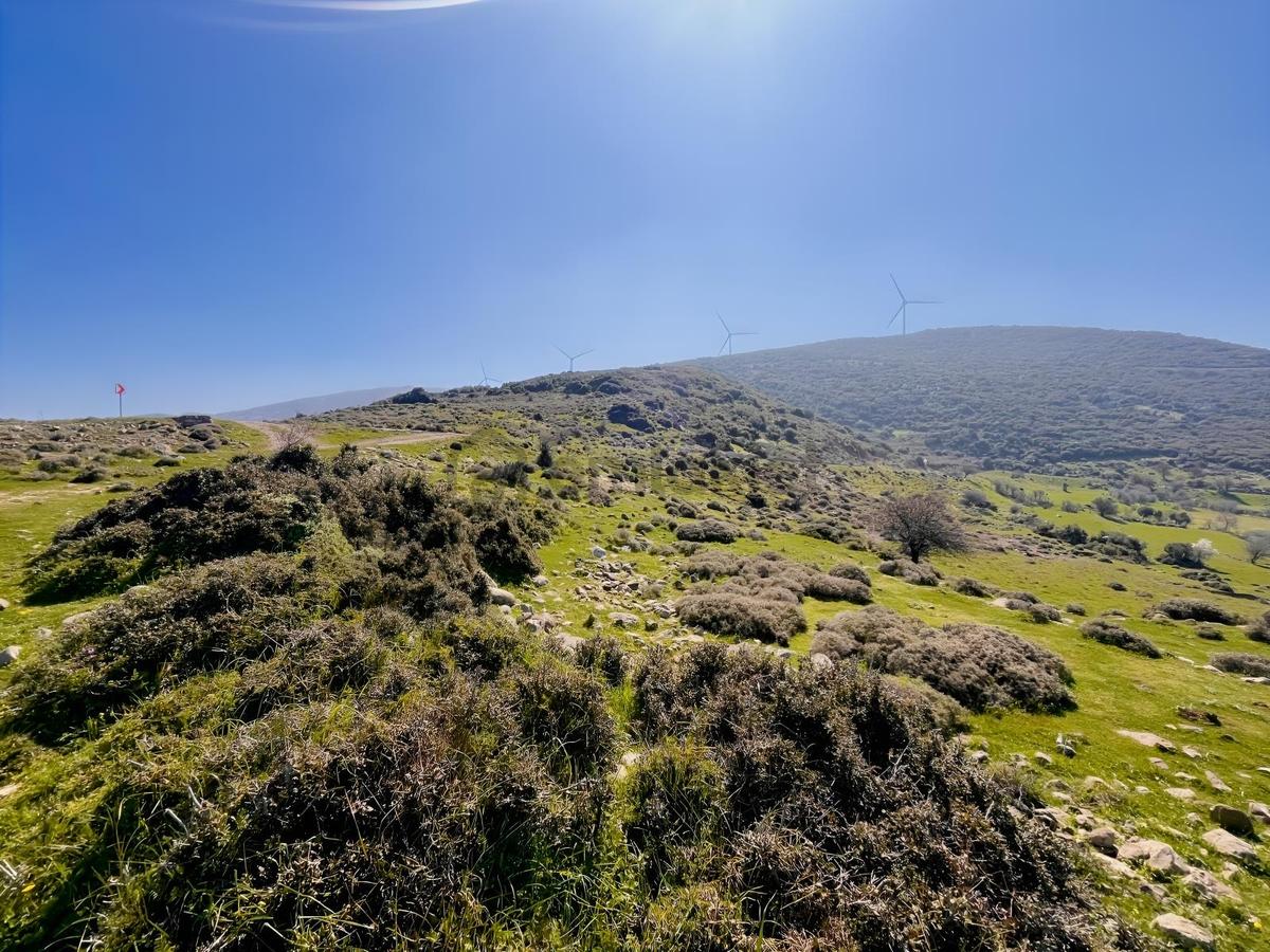 Karaburun Yaylada Yatırımlık Tarla | Doğanın İçinde - 11