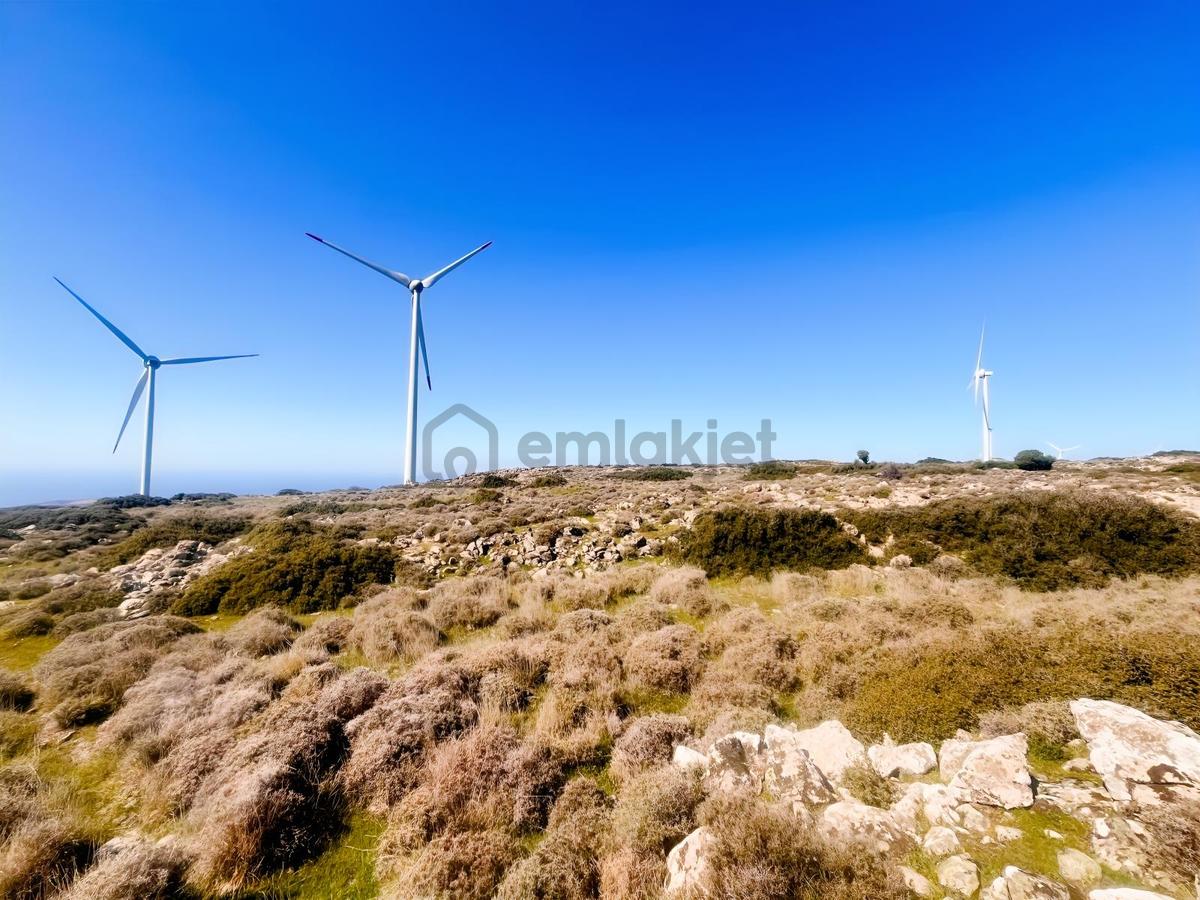 Karaburun Yaylada Yatırımlık Tarla | Doğanın İçinde - 10