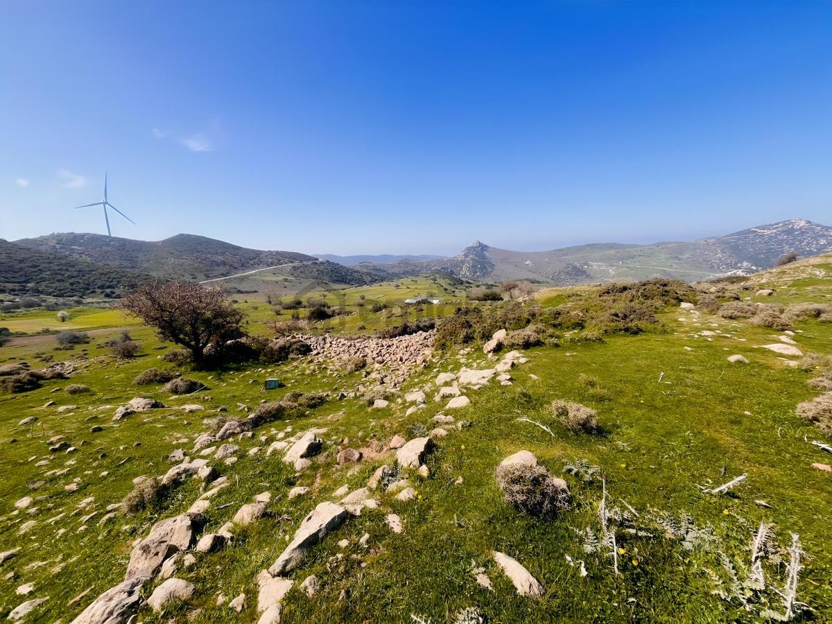 Karaburun Yaylada Yatırımlık Tarla | Doğanın İçinde - 12