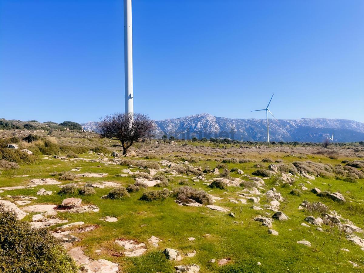 Karaburun Yaylada Yatırımlık Tarla | Doğanın İçinde - 2