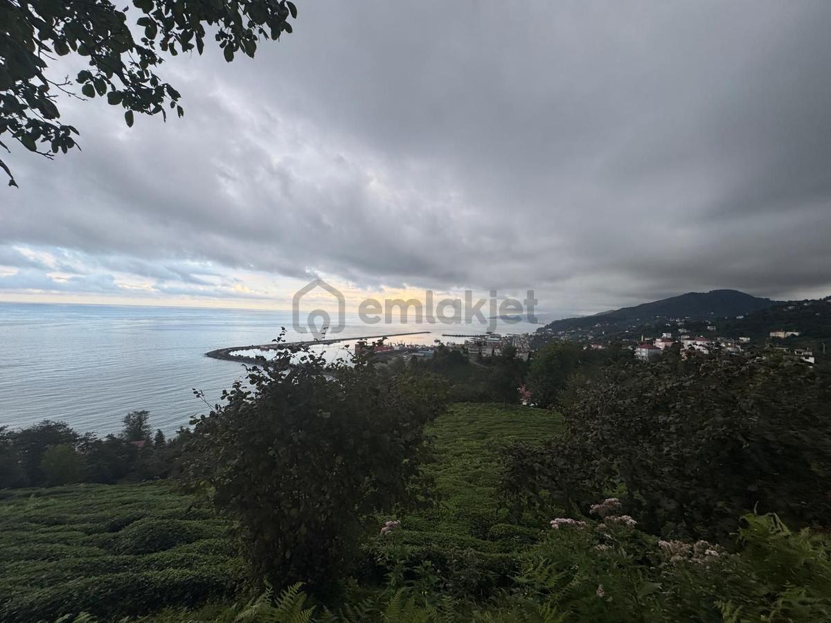 Sürmene Yeniay'da Deniz Manzaralı 1180 M² Satılık Arsa - 2