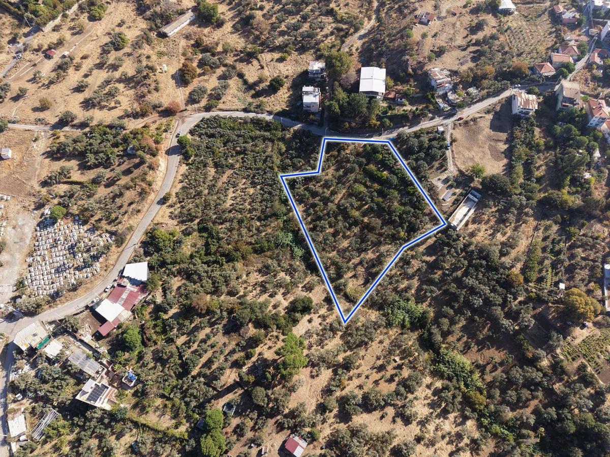 Doğançay'da İmara Yakın 2122 M2 Ağaçlı Tarla