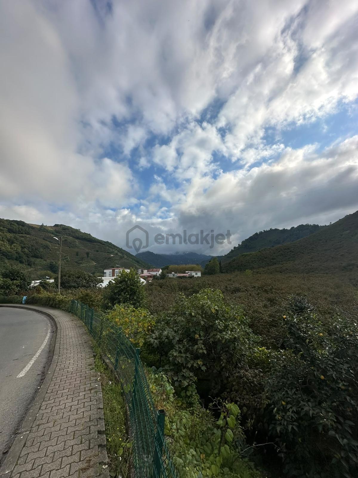 Ordu Hekimoğlu'ndan Gülyalı Turnasuyunda Satılık Arsa - 4