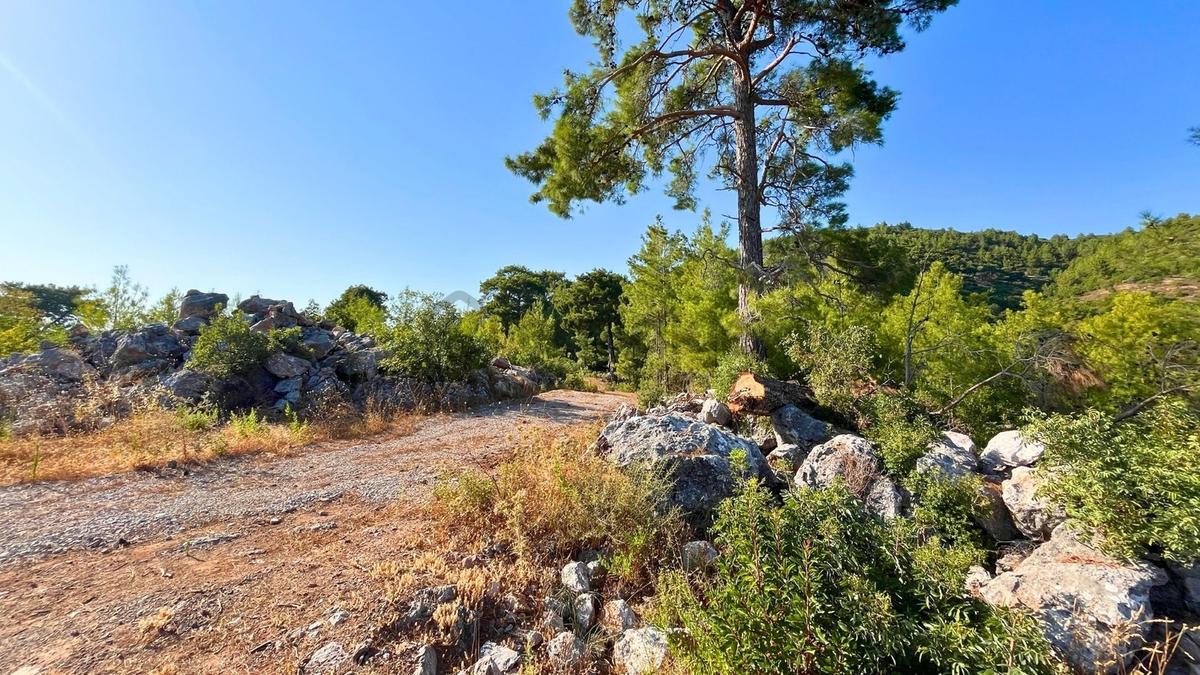 Satılık 2540 M² Tarla Deniz Manzaralı, Orhan Mah. - 24