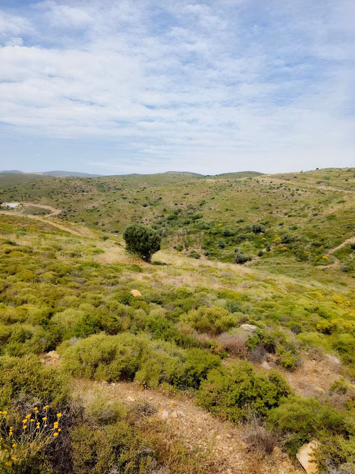 Küçükbahçe Denize Yakın(650m) İmarlı Arsa - 4