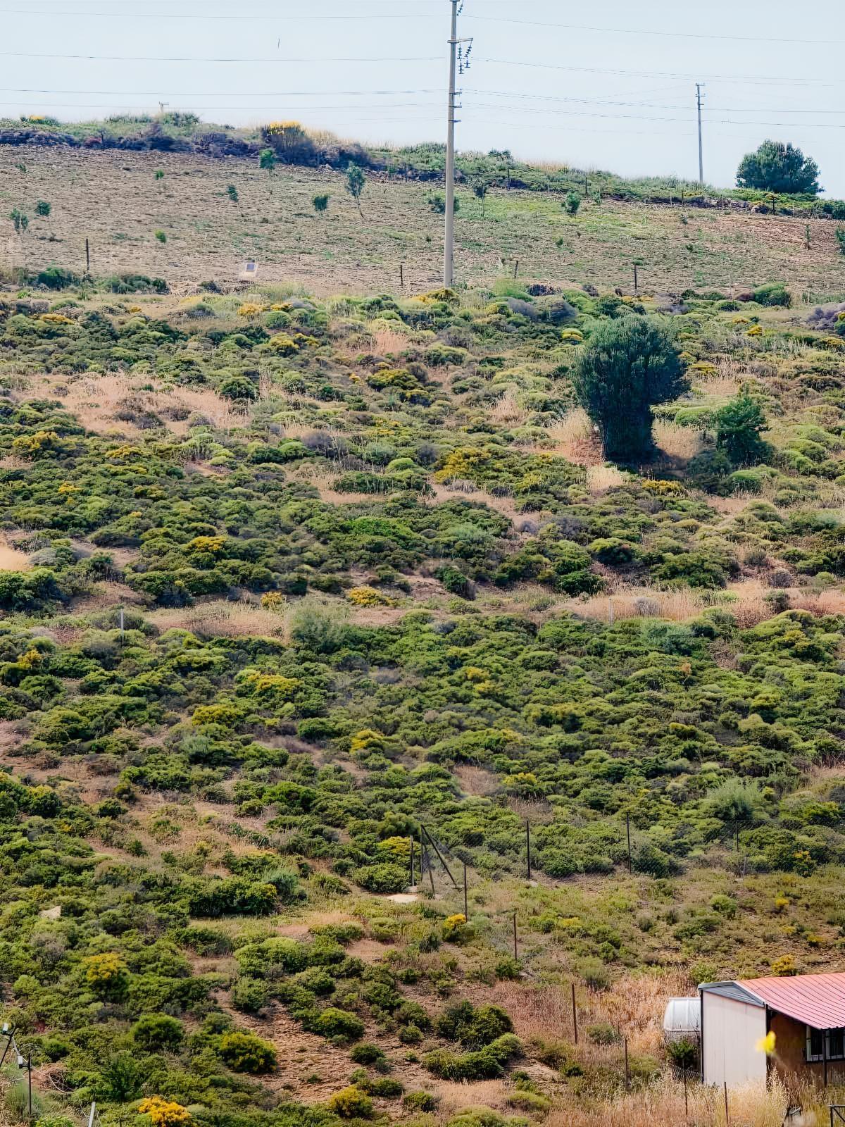 Küçükbahçe Denize Yakın(650m) İmarlı Arsa - 13