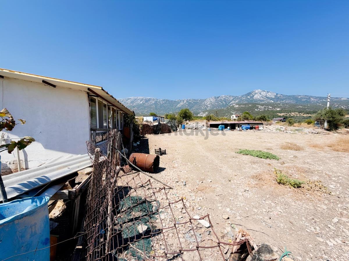 Karaburun Eğlenhocada 7.730 M² Kullanım Alanlı Tarla & Üzüm Bağ - 18