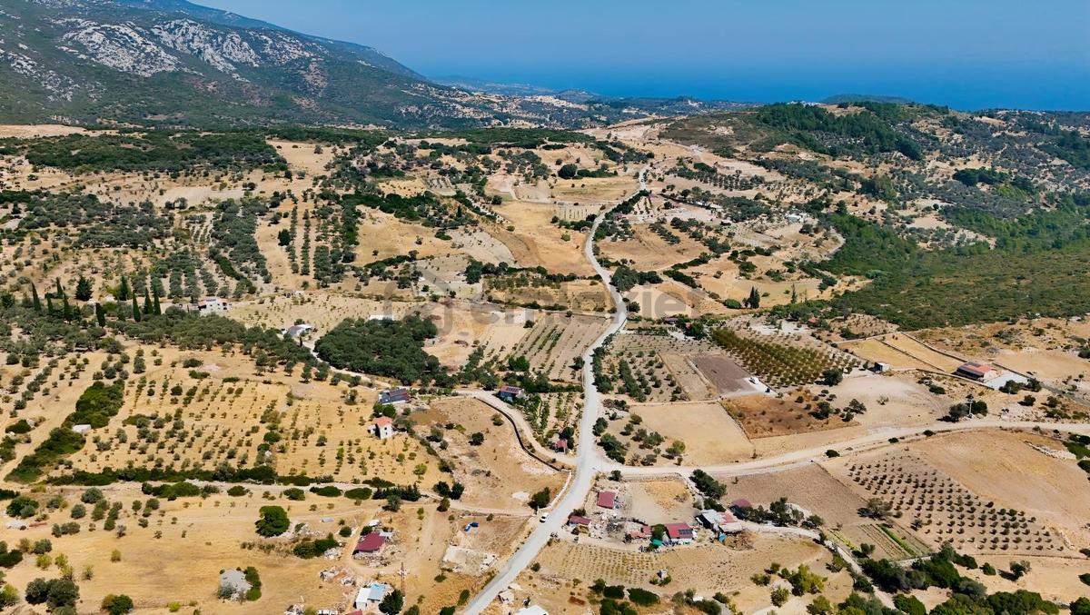 Karaburun Eğlenhocada 7.730 M² Kullanım Alanlı Tarla & Üzüm Bağ - 22