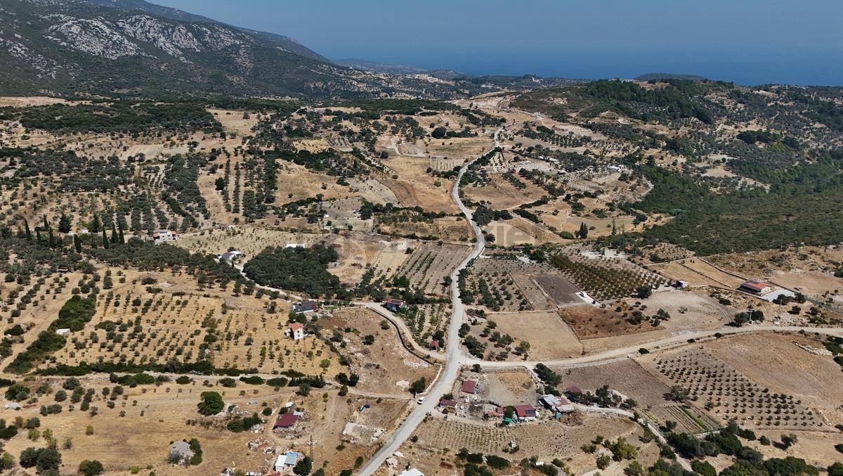 Karaburun Eğlenhocada 7.730 M² Kullanım Alanlı Tarla & Üzüm Bağ - 7