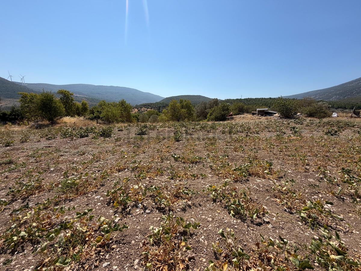 Karaburun Eğlenhocada 7.730 M² Kullanım Alanlı Tarla & Üzüm Bağ - 13