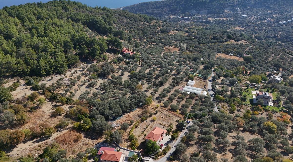 Karaburun İnecik Köyünde Satılık 453 M² Tarla - 7