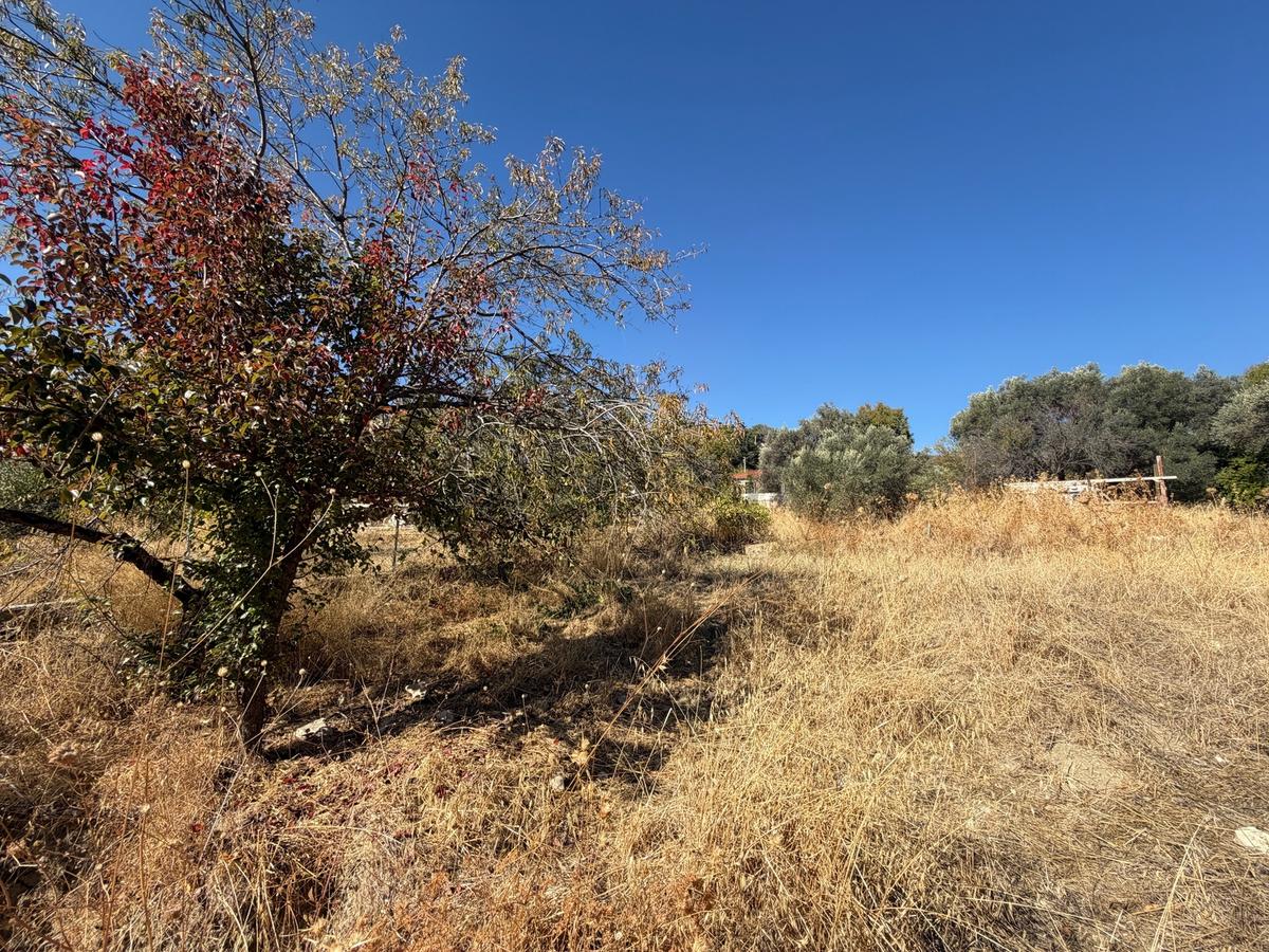 Karaburun İnecik Köyünde Satılık 453 M² Tarla - 12