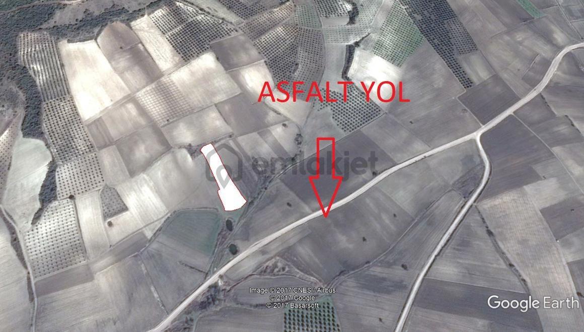 Karacabey Çamlıca'da Önü Hazine Arazisi Asfalta 2. Parsel - 4