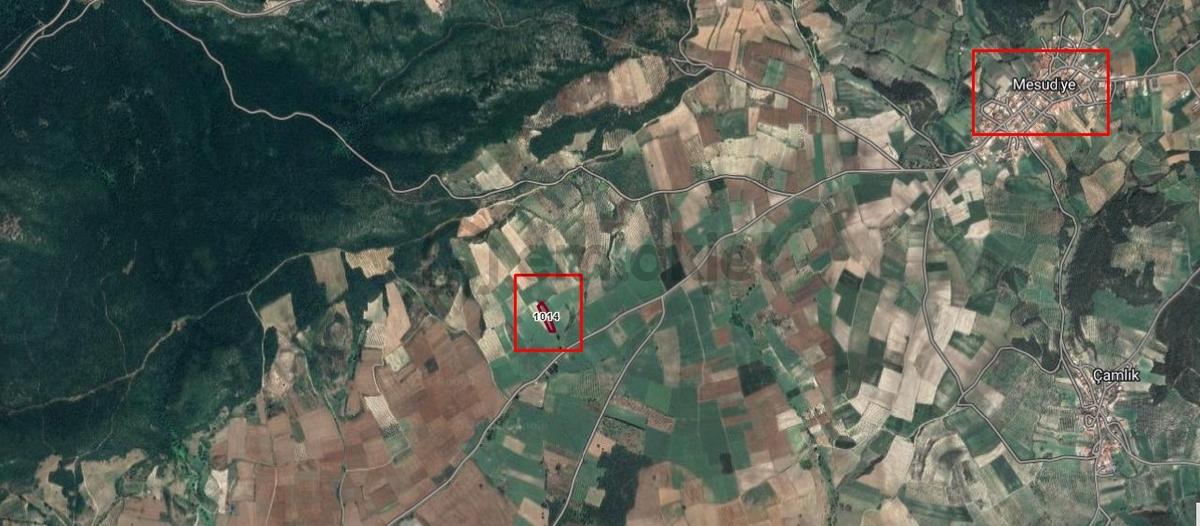 Karacabey Çamlıca'da Önü Hazine Arazisi Asfalta 2. Parsel - 8