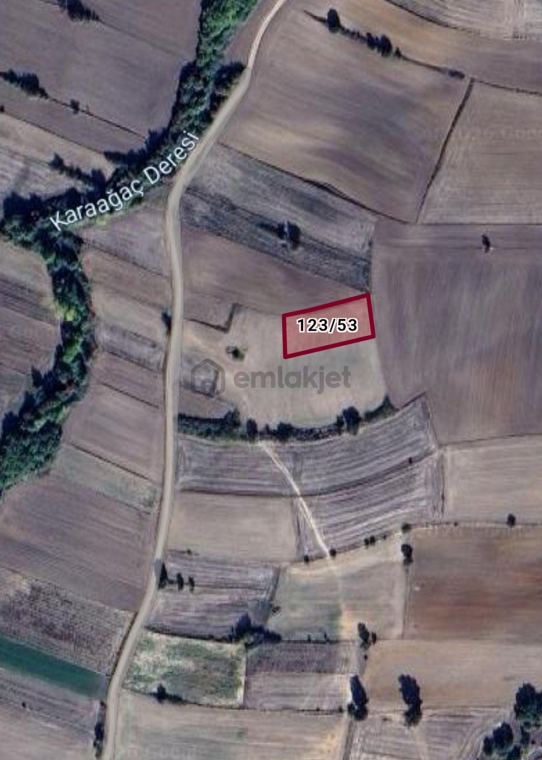 Babaeski Çavuşköy De Tek Tapulu 1503 Mt. Tarla - 9