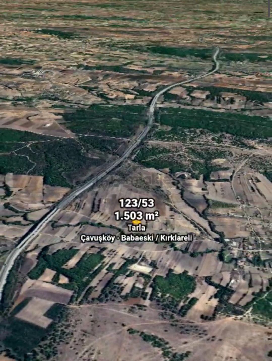 Babaeski Çavuşköy De Tek Tapulu 1503 Mt. Tarla - 4