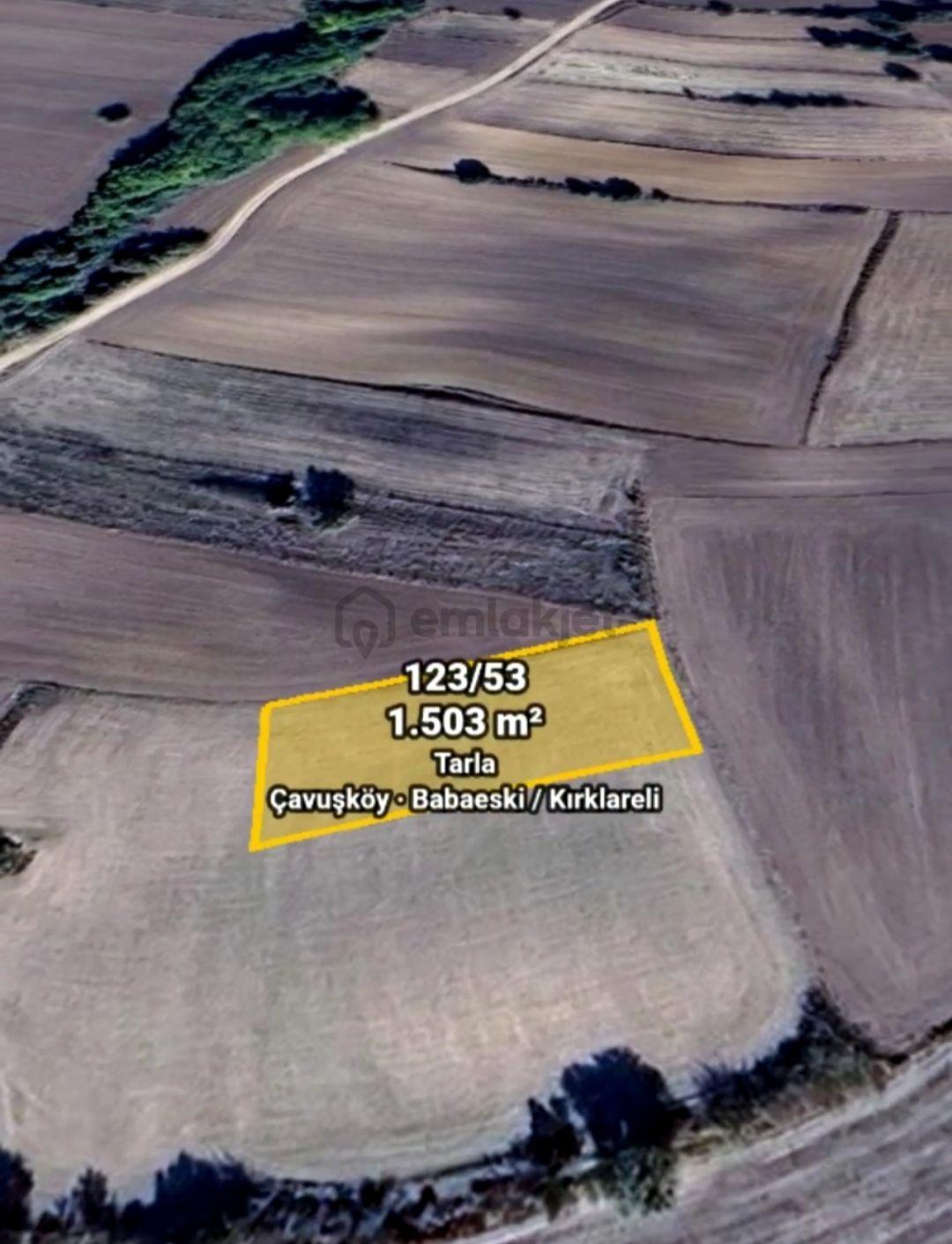 Babaeski Çavuşköy De Tek Tapulu 1503 Mt. Tarla