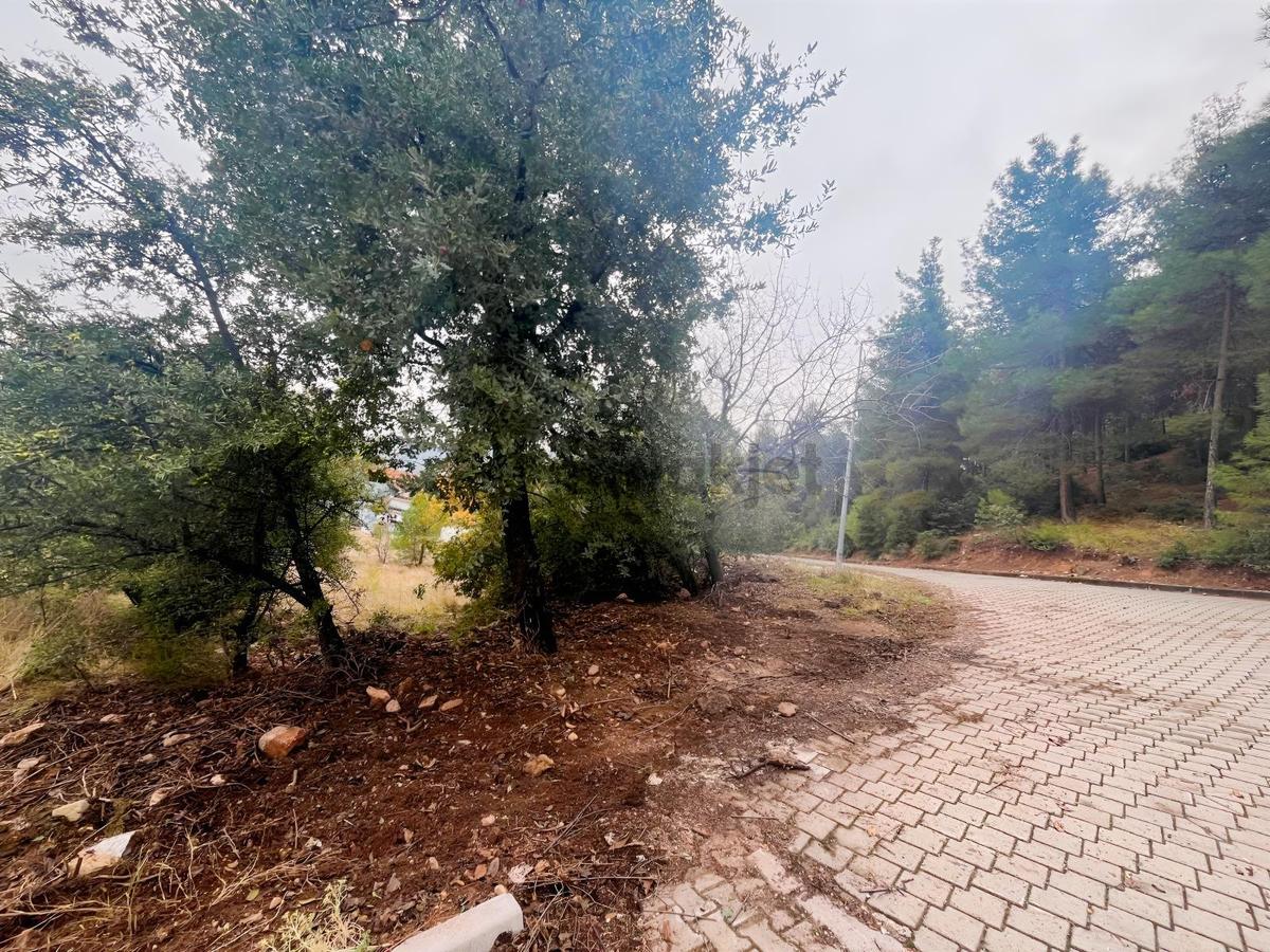 Bağbaşı Yolu Üzerinde Sosyal Tesis İmarlı Satılık Arsa - 2
